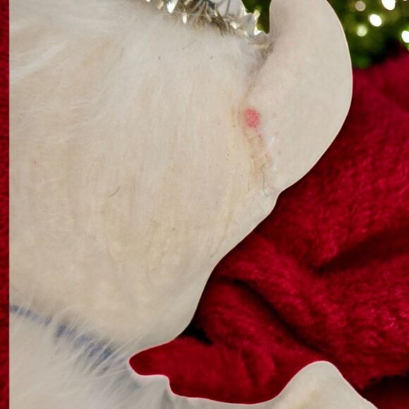 Annalee 7" White Angel Christmas Mouse Stars Halo Feather Wings Vintage 1999 - Picture 8 of 8